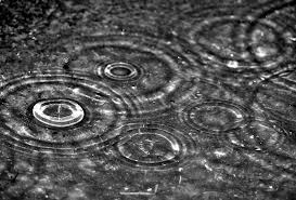 B&W Rain